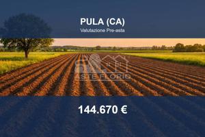 Immobile in asta di 21414 m² a Pula