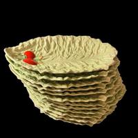 Carlton Ware – Servizio insalata vintage completo