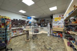 Attivita' + immobile