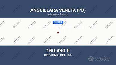 Immobile in asta di 1242 m² a Anguillara Veneta