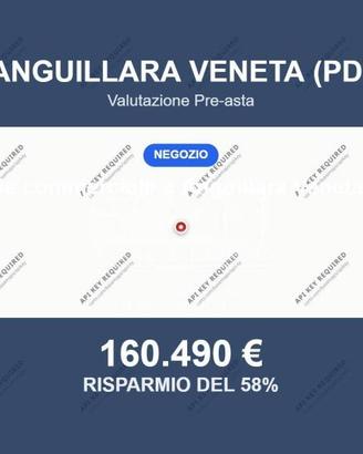 Immobile in asta di 1242 m² a Anguillara Veneta