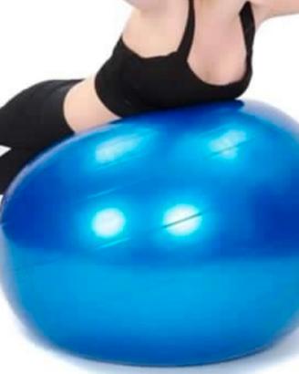 palla da fitness 