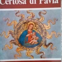 Libro Certosa di Pavia Madonna delle Grazie nuovo