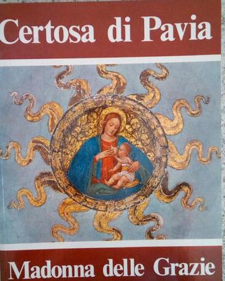 Libro Certosa di Pavia Madonna delle Grazie nuovo