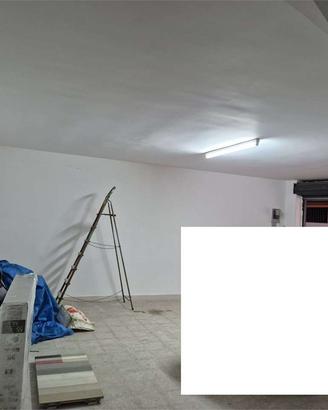 AMPIO LOCALE