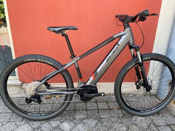 ATALA B-CROSS A5.2S Tg 16"/18"/20 List: €2529 -27%