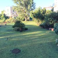 Giardino per eventi