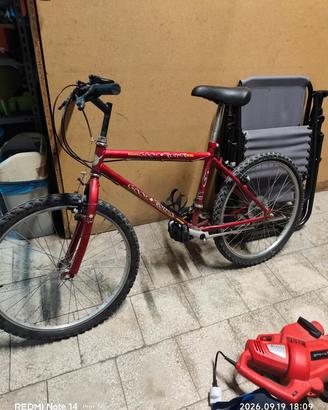 Bicicletta bambino 