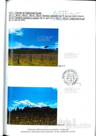 Terreno Agricolo Piedimonte Etneo [A4321268]