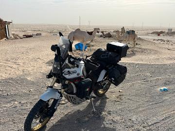 Tenere 700 rally