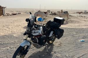 Tenere 700 rally