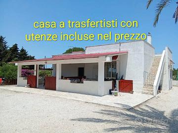 Disponibile 31 ottobreTRASFERTISTI utenze incluse