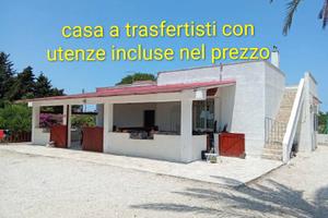 Disponibile 31 ottobreTRASFERTISTI utenze incluse