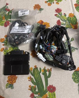 Centralina moto rapid bike per Kawasaki z650