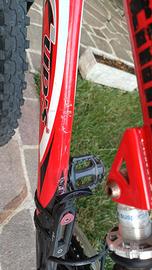 Mountain Bike ragazzo 24" – 21 velocità –