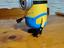 Immagine 2