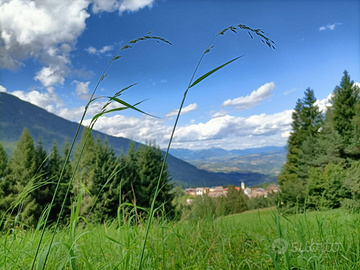 Settembre da sogno a Cavedago