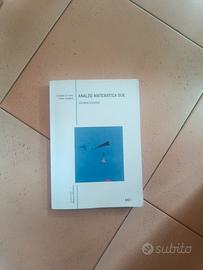 Analisi Matematica 2 