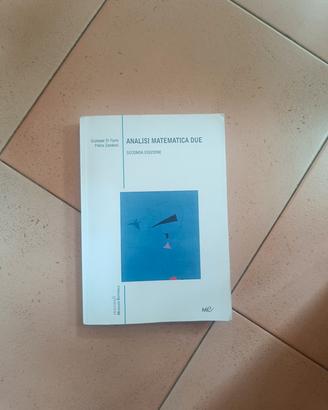 Analisi Matematica 2 