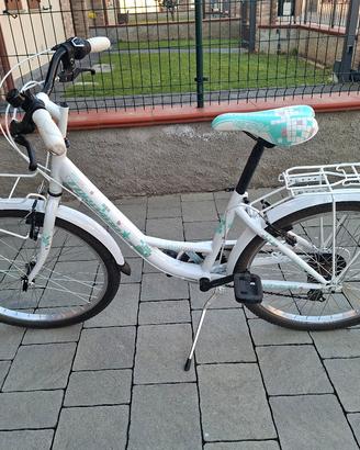 Bicicletta bambina - ragazza 