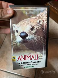 Animali in primo piano VHS