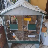 voliera per uccellini.