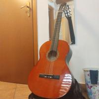 Chitarra + ricambio corde + custodia + plettri