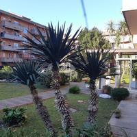 4 LOCALI A NOCERA INFERIORE