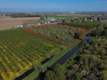 RGe 7/2019 Tribunalke Verona Lotto2)