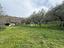 Immagine 23