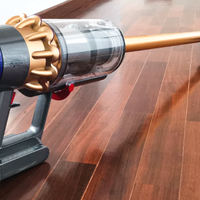 Dyson V11