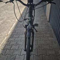 Bici elettrica 250 watt