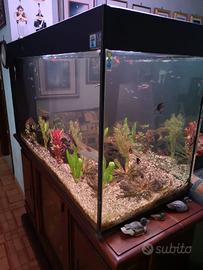 acquario 320 litri