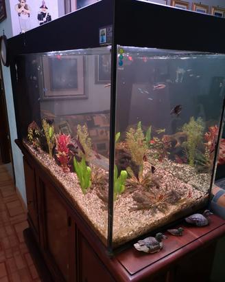 acquario 320 litri