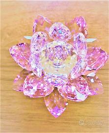 Swarovski, ninfea WATERLILY ROSALINE