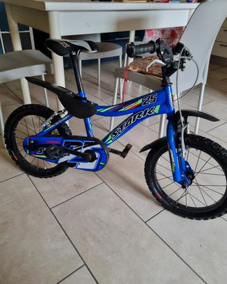 bicicletta peer ragazzini