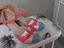 Immagine 2