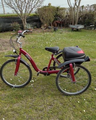 bicicletta a tre ruote per anziani oppure disabili