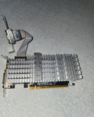 Nvidia GV N730SL -2GL  scheda video