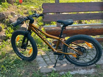 Bicicletta per bambino