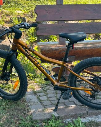 Bicicletta per bambino