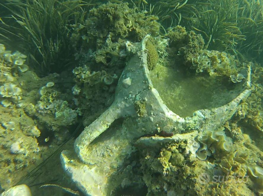 OASI PRIVATA A 5 MINUTI DAL MARE-terreno Tarquinia - Vista 5