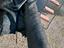Immagine 4