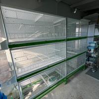 Gabbia Chillon batteria sistema carta.