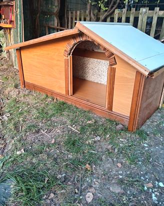 casa per cani 