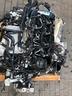 motore-ddy-vw-golf-1600-td