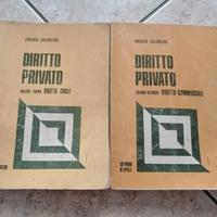 Coppia di vecchi libri di "Diritto privato" 