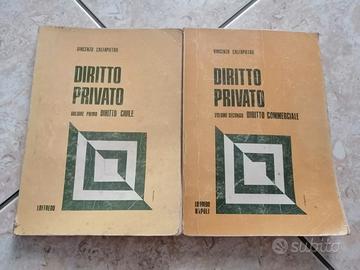 Coppia di vecchi libri di "Diritto privato" 
