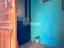 Immagine 13