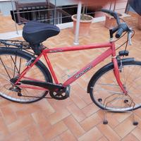 Bicicletta CASADEI per non utilizzo